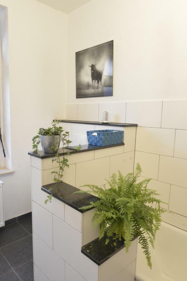 Kaiserliche Hofpost, Mit Whirlpool Und 2 Terrassen シュライデン エクステリア 写真